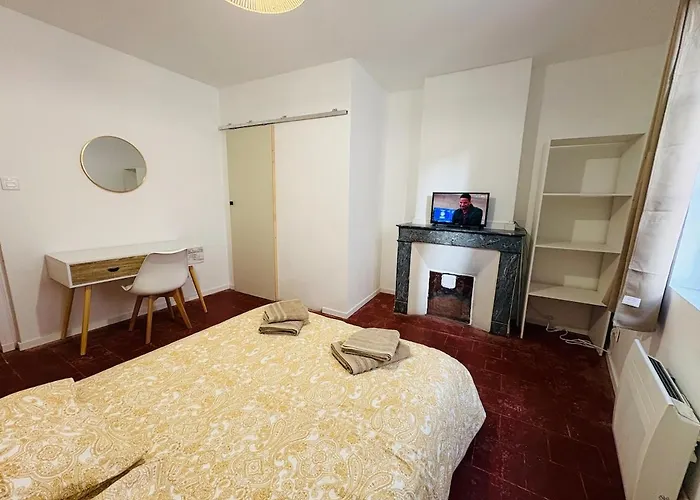 La Coloc' L 3 Avec Salle De Bain & Tv * Castres (Tarn)